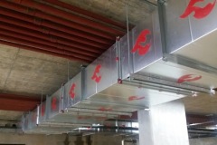 WhatsApp-Image-2020-04-22-at-5.04.51-PM